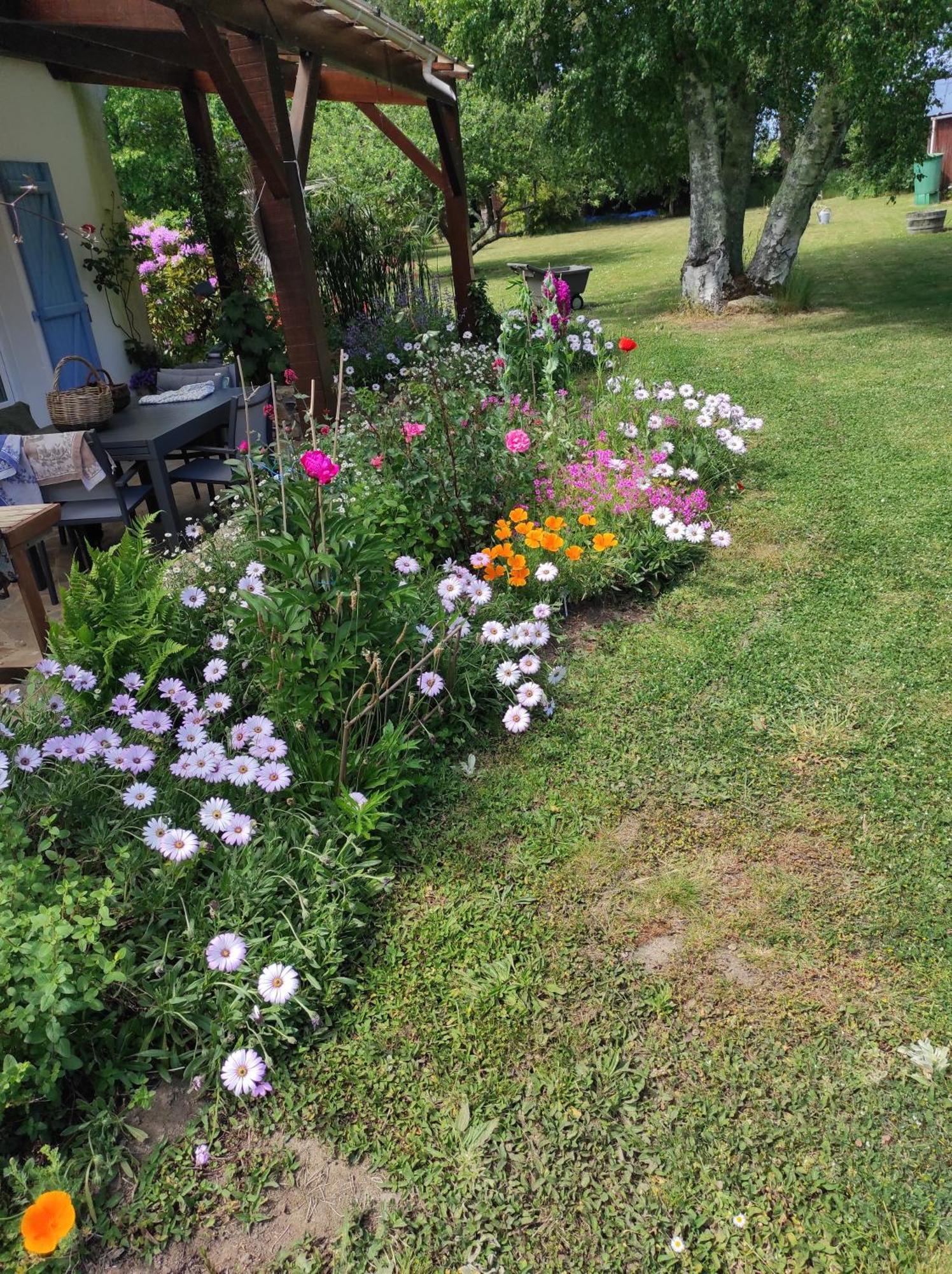 Grand Studio Duplex Avec Jardin ラ・トリニテ・シュル・メール エクステリア 写真