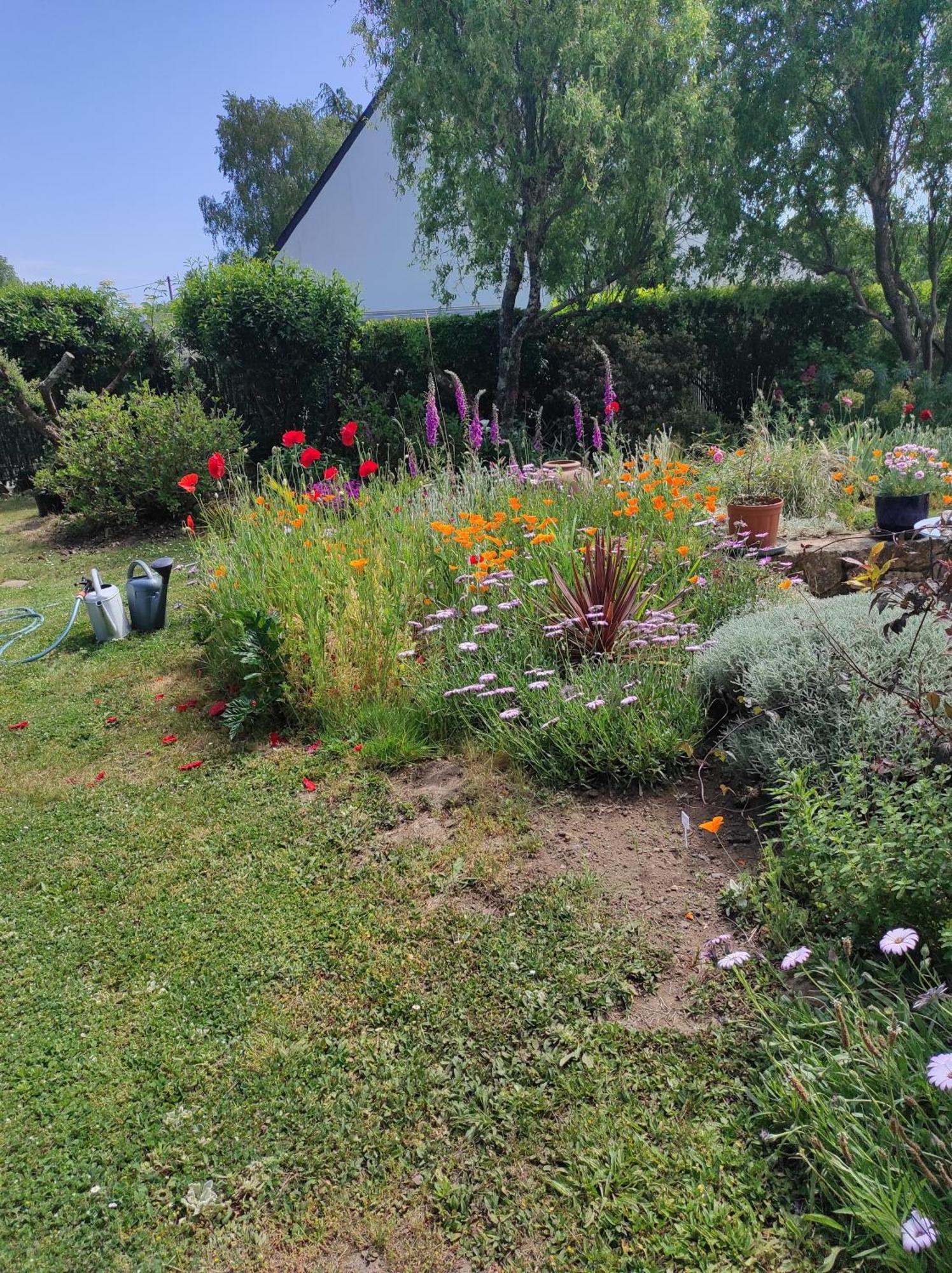 Grand Studio Duplex Avec Jardin ラ・トリニテ・シュル・メール エクステリア 写真